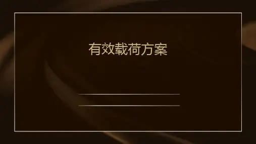 有效载荷方案