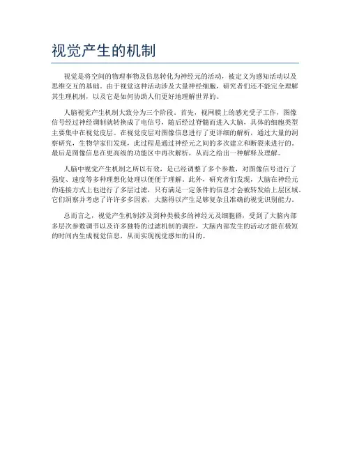 视觉产生的机制