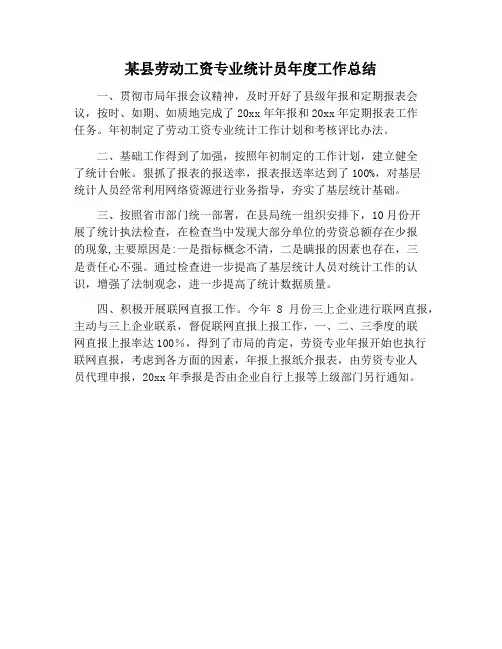 【工作总结范文】某县劳动工资专业统计员年度工作总结