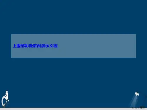 上腹部影像解剖演示文稿