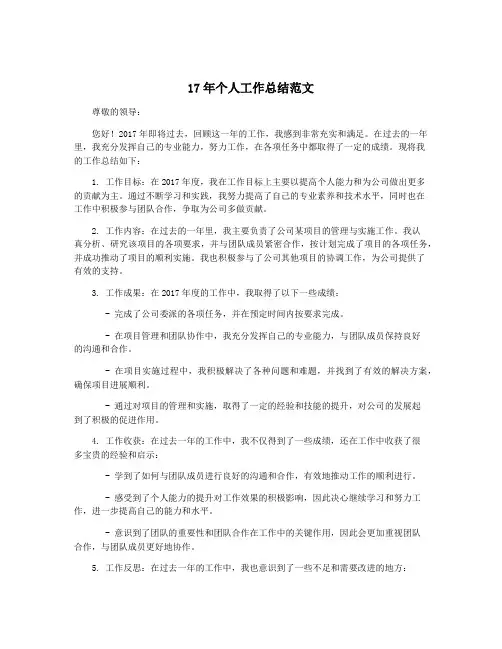 17年个人工作总结范文