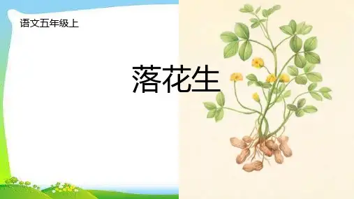 2《落花生》课件(共28张PPT)