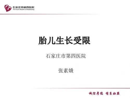 8-张素娥-胎儿生长受限概述