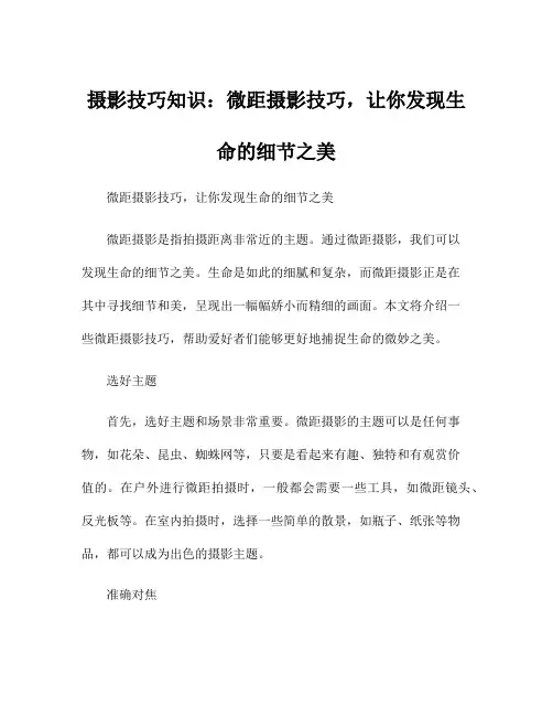摄影技巧知识:微距摄影技巧,让你发现生命的细节之美