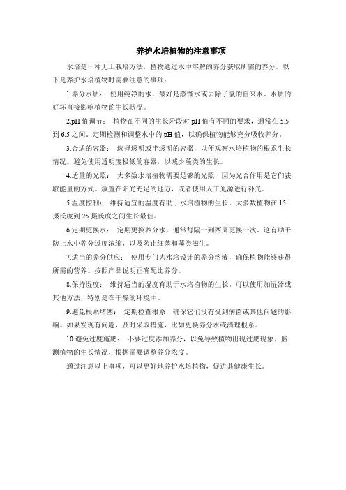 养护水培植物的注意事项