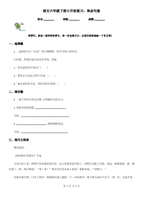 语文六年级下册小升初复习:体会句意