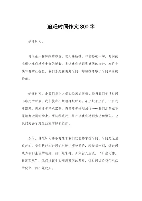 追赶时间作文800字