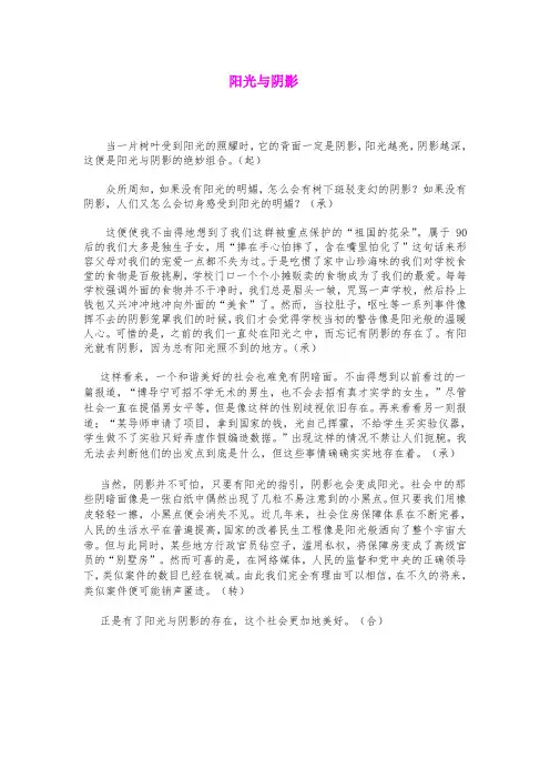 无锡市中考满分作文-阳光与阴影
