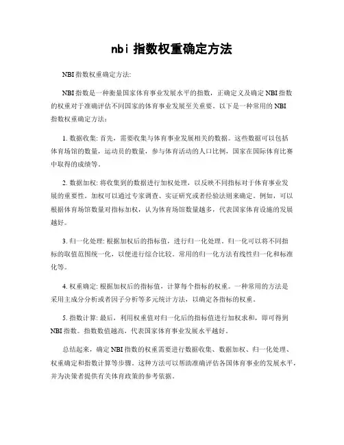 nbi指数权重确定方法