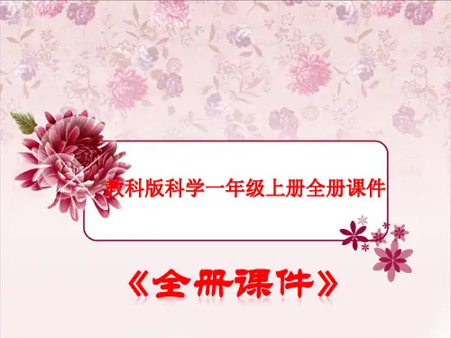教科版小学一年级科学上册全册课件