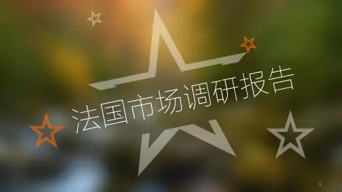 法国市场调研报告ppt课件