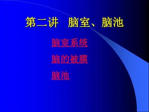 脑池的断面解剖图