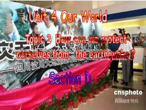 八年级仁爱英语  Unit 4 Topic 2 Section D
