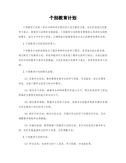 个别教育计划