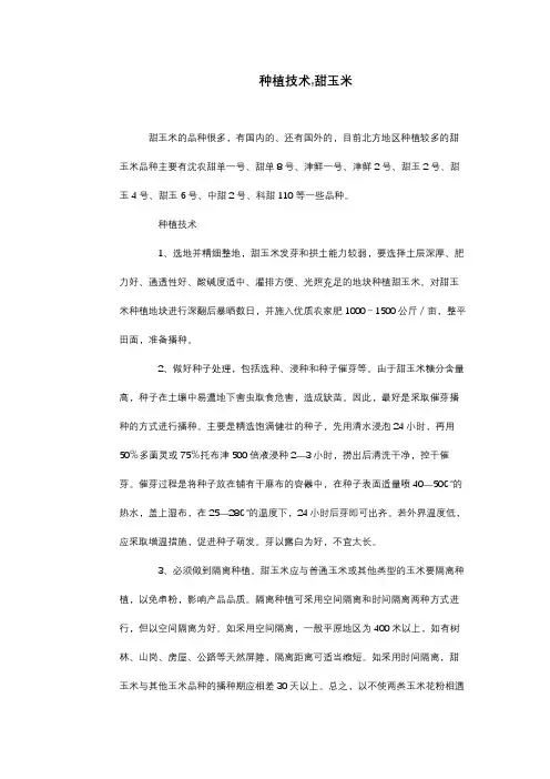 种植技术,甜玉米