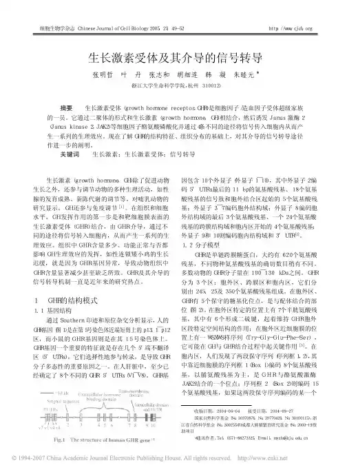 生长激素受体及其介导的信号转导