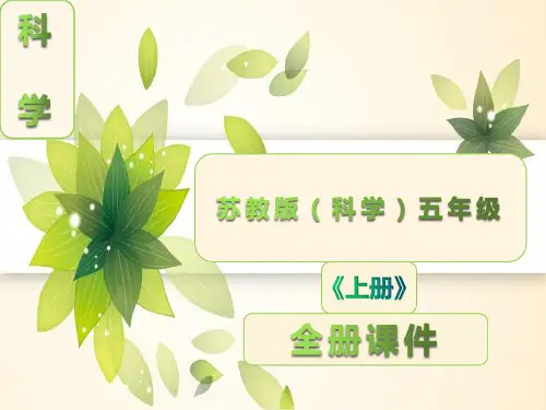 苏教版五年级科学上册全册ppt课件【完整版】