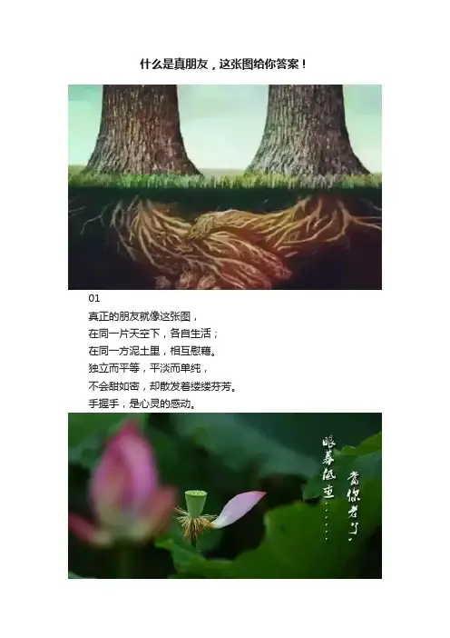 什么是真朋友，这张图给你答案！