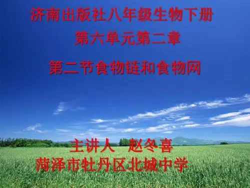 食物链和食物网