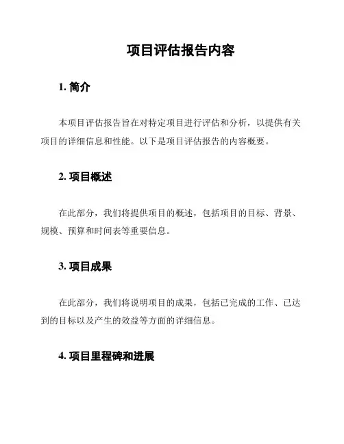 项目评估报告内容