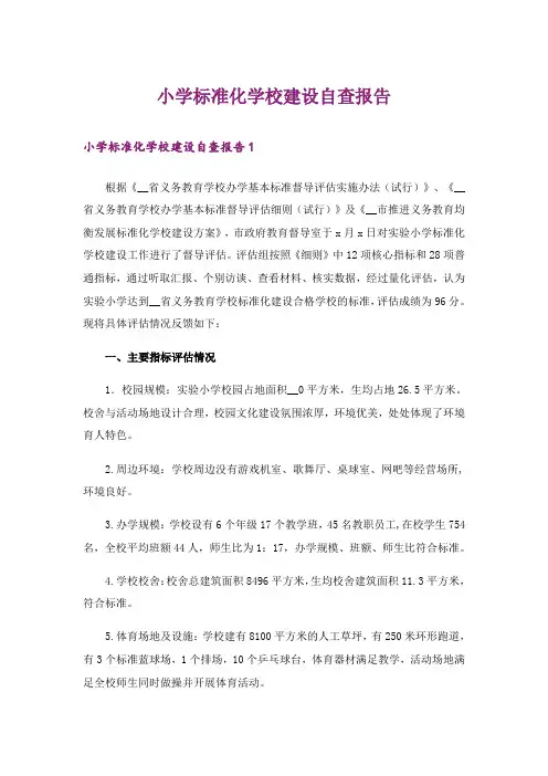 小学标准化学校建设自查报告