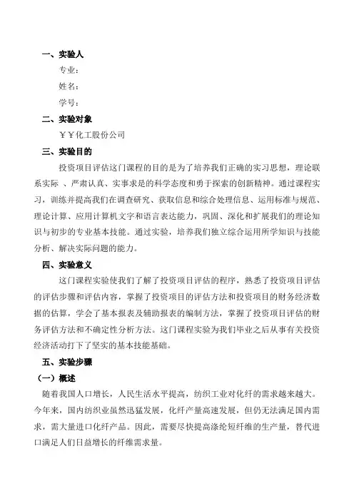 投资项目评估实验报告 2