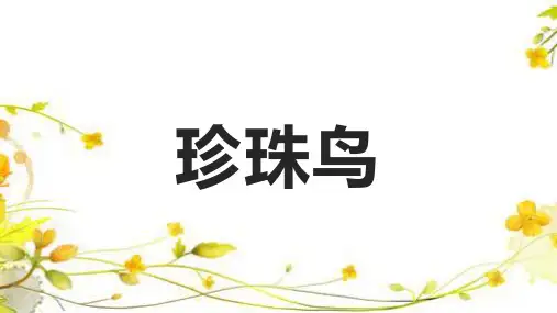 4 珍珠鸟   课件(共20张PPT)