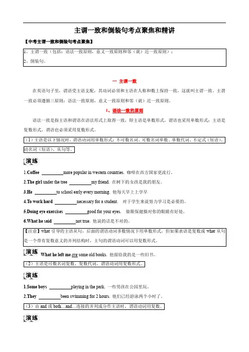 主谓一致和倒装句考点聚焦和精讲中考英语语法复习