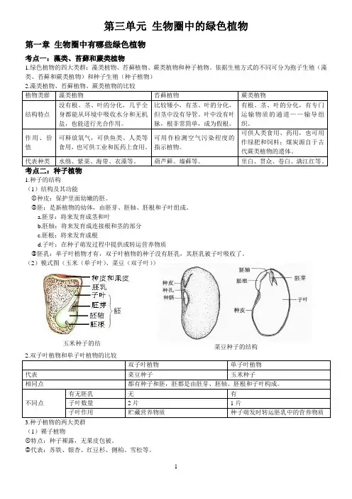 新人教版初中生物 第三单元 生物圈中的绿色植物 知识点