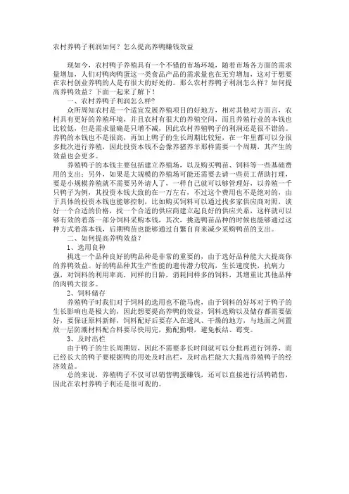 农村养鸭子利润如何？怎么提高养鸭赚钱效益