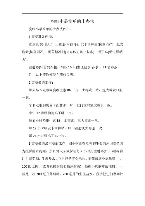 狗细小最简单的土办法