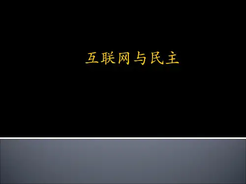 《网络社会学》课件PPT-互联网与民主
