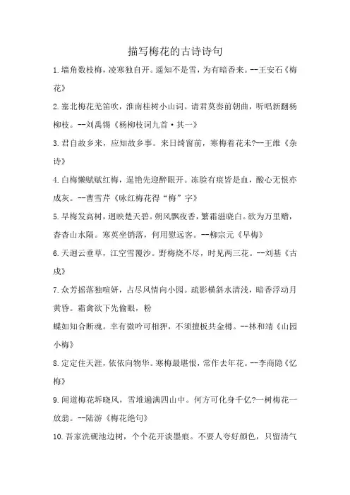 描写梅花的古诗诗句