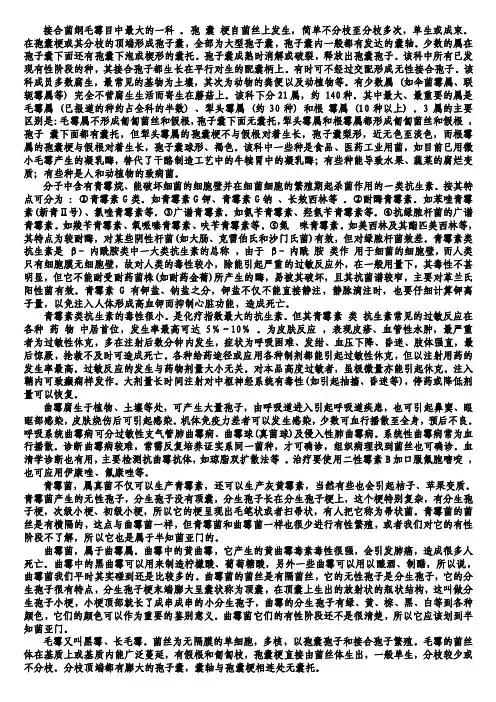 曲霉和青霉——精选推荐