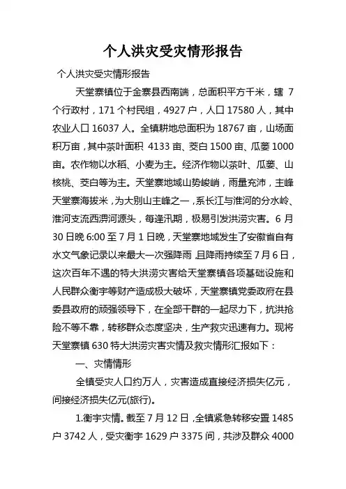 个人洪灾受灾情形报告
