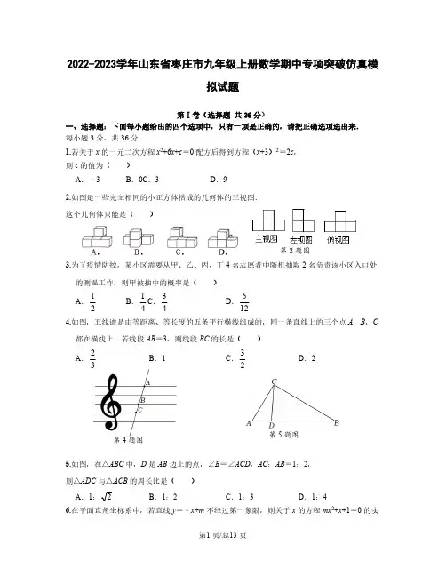 2022-2023学年山东省枣庄市九年级上册数学期中专项突破仿真模拟试题(含解析)