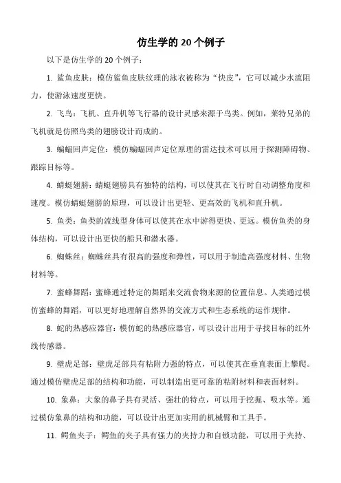 仿生学的20个例子