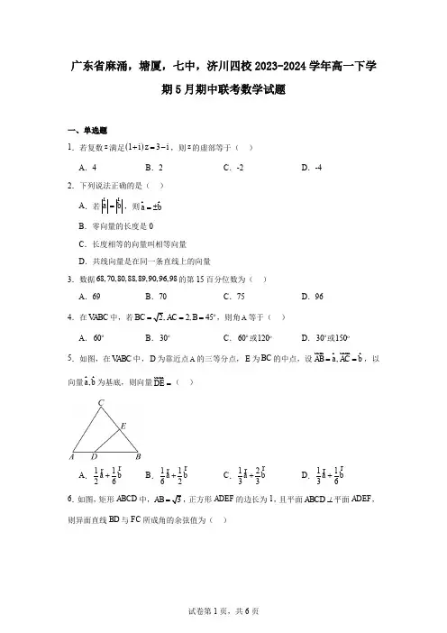 广东省麻涌,塘厦,七中,济川四校2023-2024学年高一下学期5月期中联考数学试题
