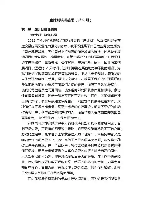 鹰计划培训感想（共5则）