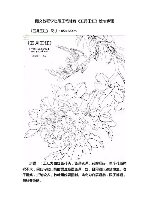 图文教程李晓明工笔牡丹《五月王红》绘制步骤