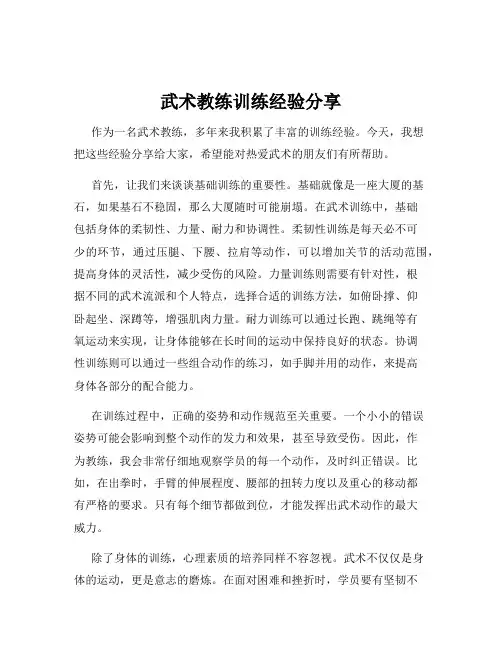 武术教练训练经验分享