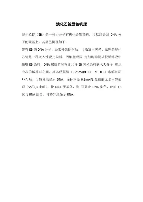 溴化乙锭显色机理