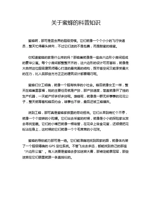 关于蜜蜂的科普知识