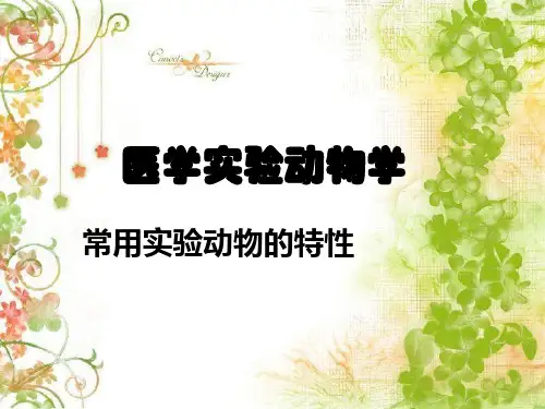 大小鼠特性 医学PPT