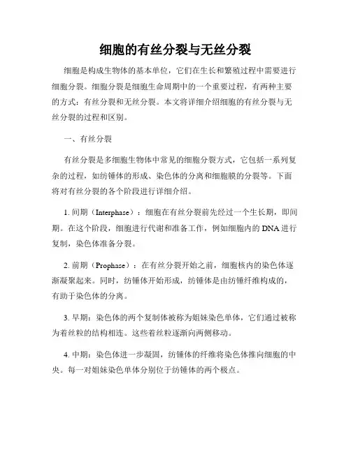 细胞的有丝分裂与无丝分裂