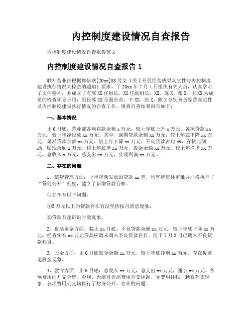 内控制度建设情况自查报告