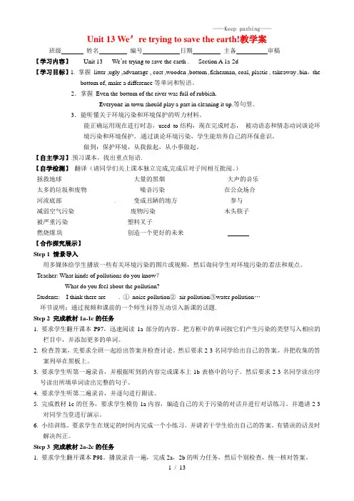 人教版九年级英语下册Unit 13 We’re trying to save the earth!教