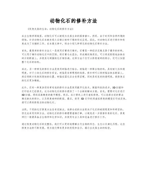 动物化石的修补方法