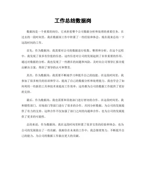 工作总结数据岗