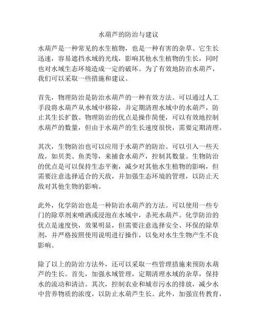 水葫芦的防治与建议